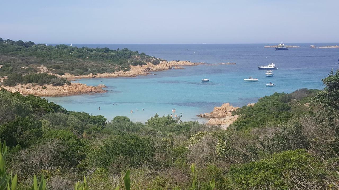 Home Of Fame - Home Gallery With Fully Equipped Kitchen, Separate Entrance, Free Parking Olbia Exterior photo